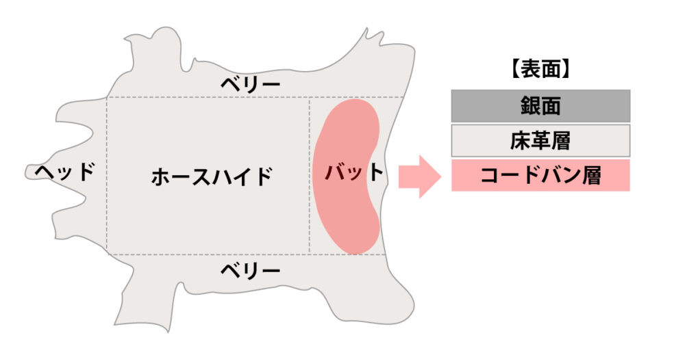 コードバン層説明